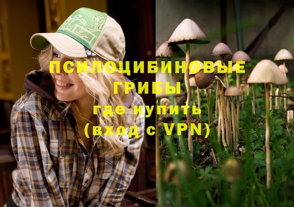 кокаин Алексеевка