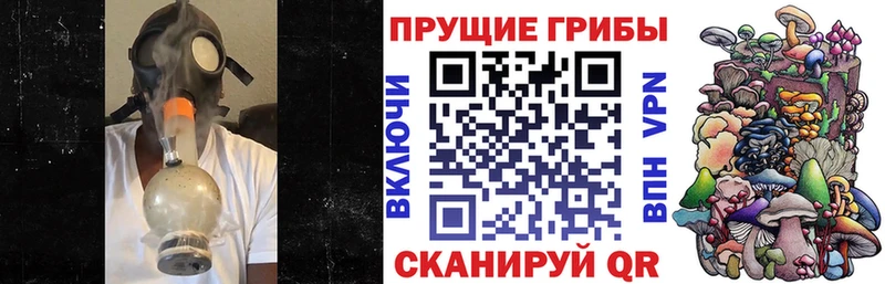 купить  цена  darknet наркотические препараты  Галлюциногенные грибы прущие грибы  Томари 