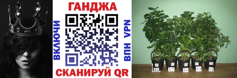 где купить наркотик  Томари  Конопля семена 